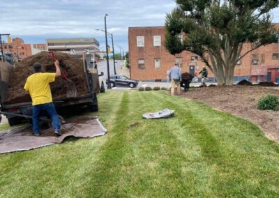 Landscaping project 15